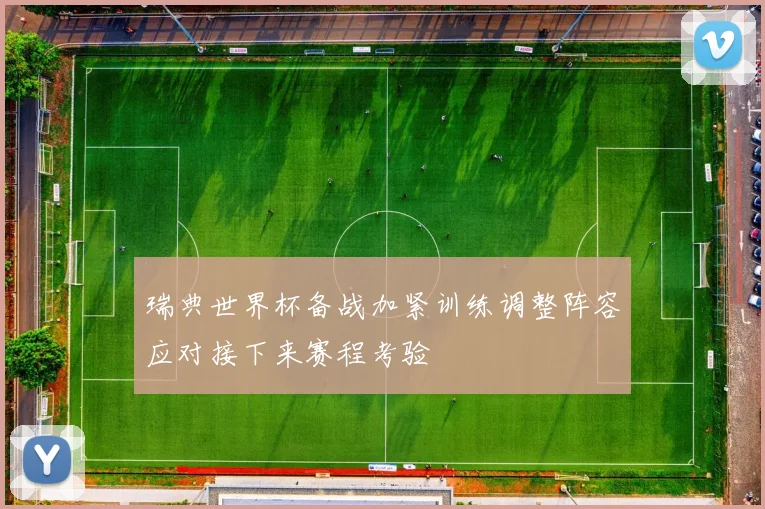 瑞典世界杯备战加紧训练调整阵容应对接下来赛程考验