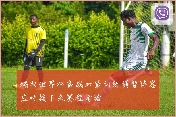 瑞典世界杯备战加紧训练调整阵容应对接下来赛程考验