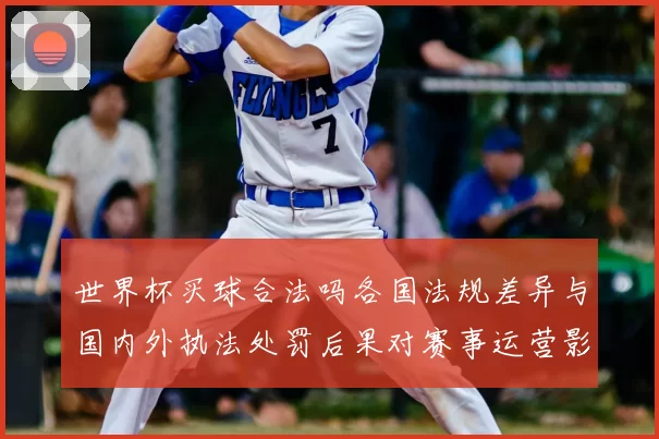 世界杯买球合法吗各国法规差异与国内外执法处罚后果对赛事运营影响