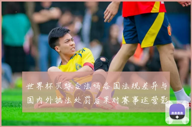 世界杯买球合法吗各国法规差异与国内外执法处罚后果对赛事运营影响