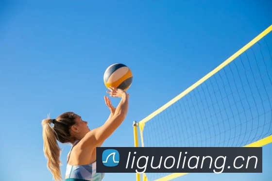 辅助工具 辅助工具